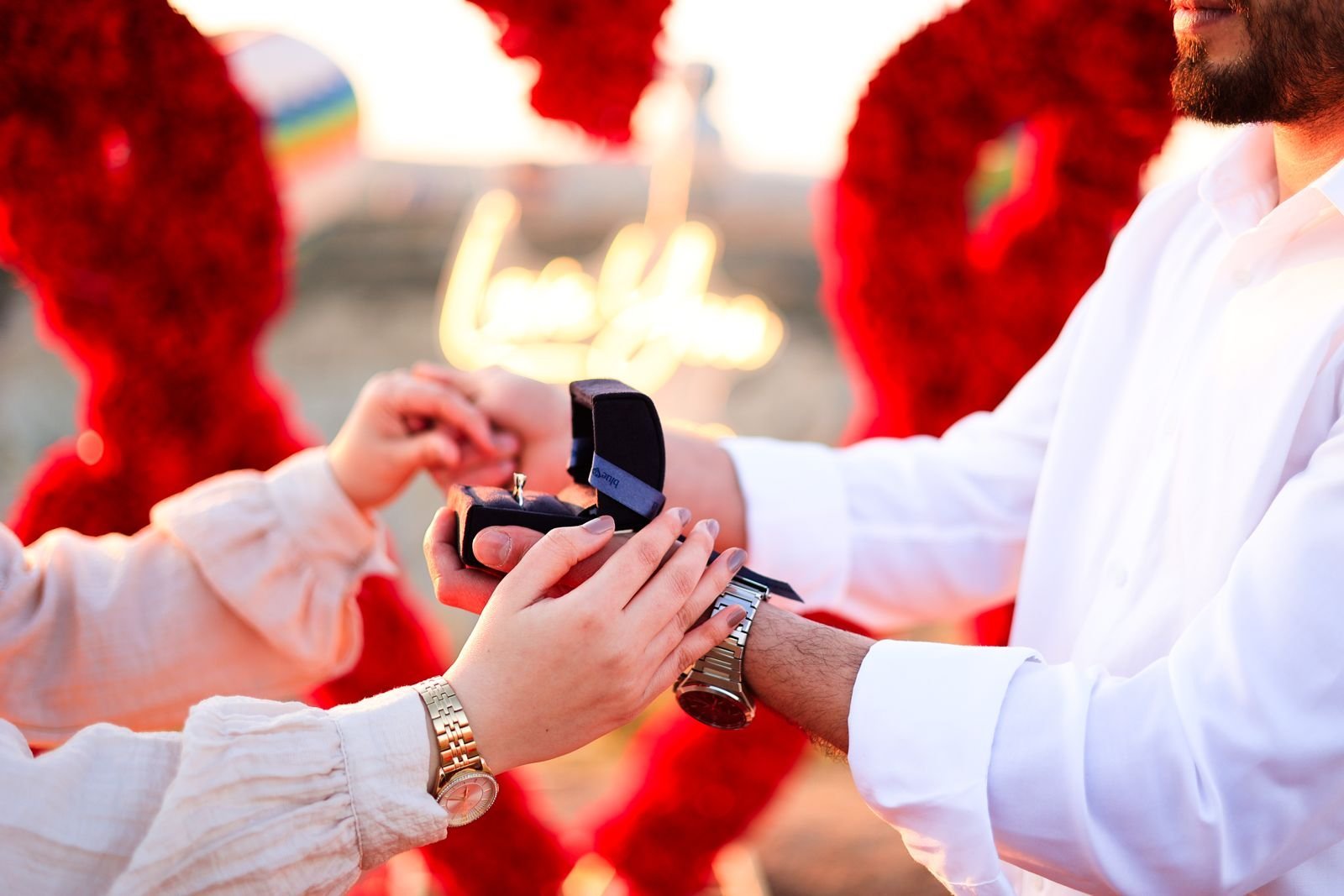 Marriage Proposal in the Valley