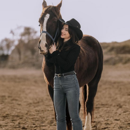 Standard Horse (Equestrian) Tour