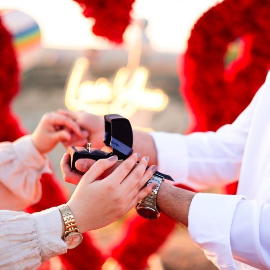 Marriage Proposal in the Valley