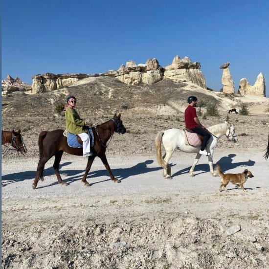 Standard Horse (Equestrian) Tour